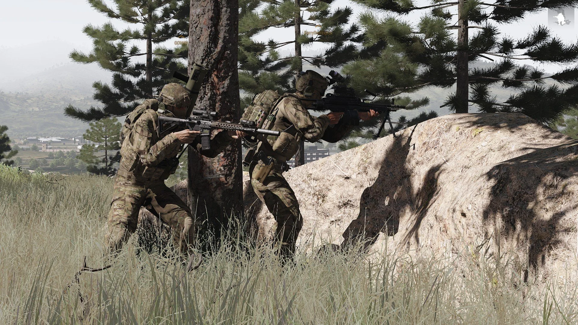 Two soldiers in camouflage uniform and gear, aiming rifles from behind a large rock and a tree, in a forested outdoor setting.